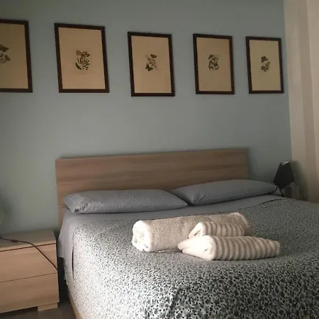 Rotonda Dai Santi Rovigo