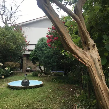 Bed & Breakfast Rotonda Dai Santi Rovigo